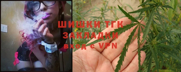 гашик Баксан