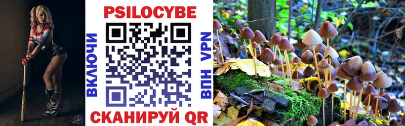 Псилоцибиновые грибы GOLDEN TEACHER  кракен сайт  Салаир 